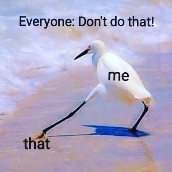 Meet your Posher, Tracey - Picture 5 of 7